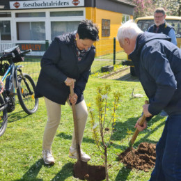 Personen beim Baum pflanzen.